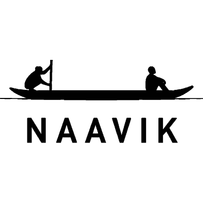 Naavik logo